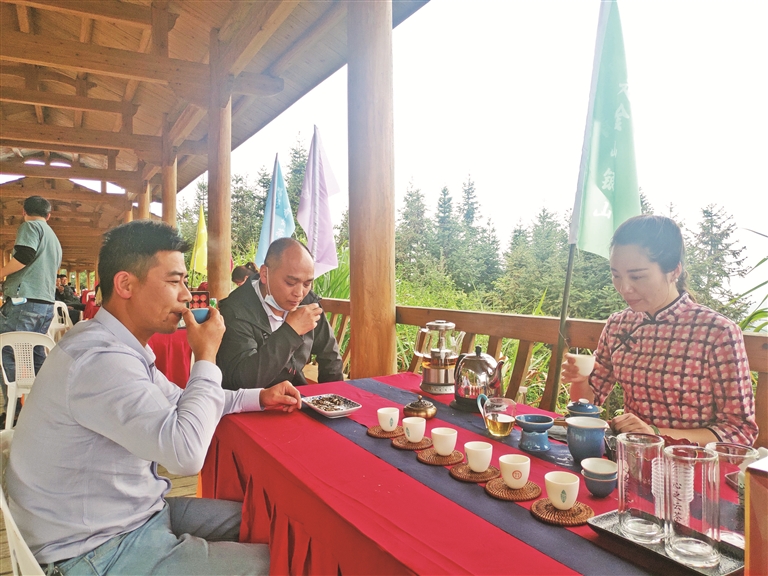 雷竞技电子竞技网玛坑:联村党委激发茶产业“大能量”
